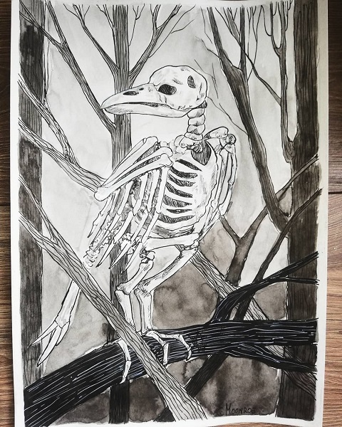 Crow spring skeleton