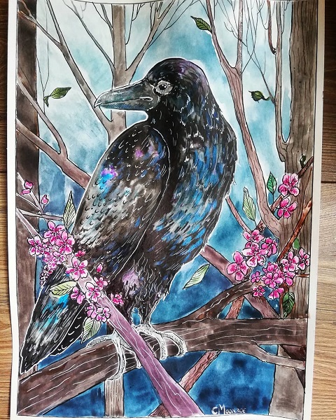 Crow spring